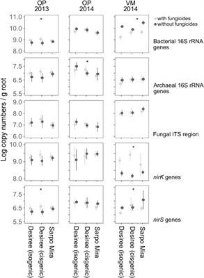 No Tangible Effects of Field-Grown Cisgenic Potatoes on Soil Microbial Communities